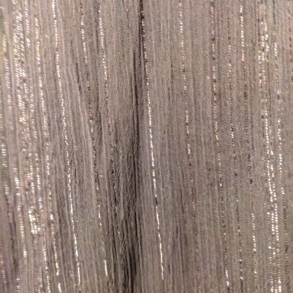 Ladies Blouse Sheer Sparkle Ruffle Buttons Long Sleeve - Picture 2 of 6